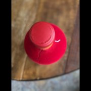 Penderyn Bryn Terfel